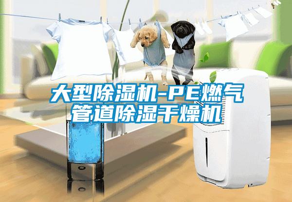 大型除濕機-PE燃氣管道除濕干燥機