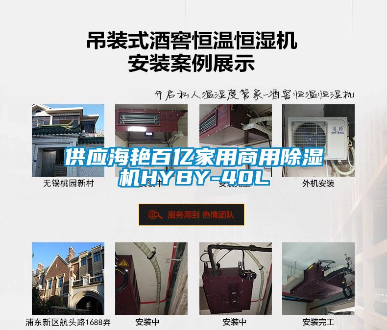 供應海艷百億家用商用除濕機HYBY-40L