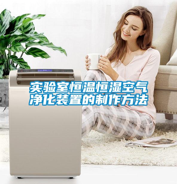 實(shí)驗(yàn)室恒溫恒濕空氣凈化裝置的制作方法