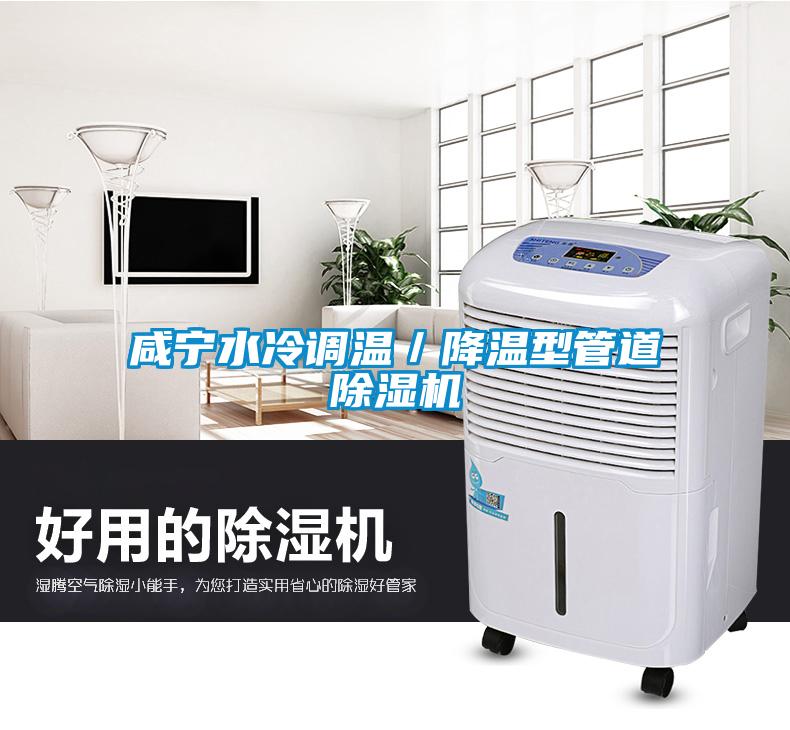 咸寧水冷調(diào)溫／降溫型管道除濕機