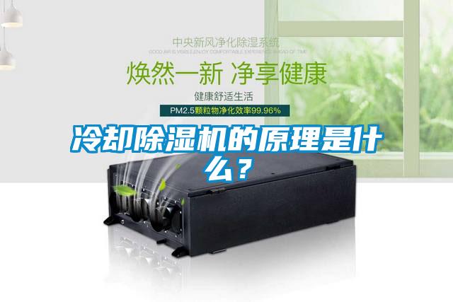 冷卻除濕機的原理是什么？