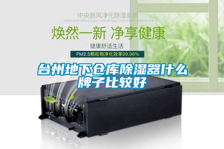 臺州地下倉庫除濕器什么牌子比較好