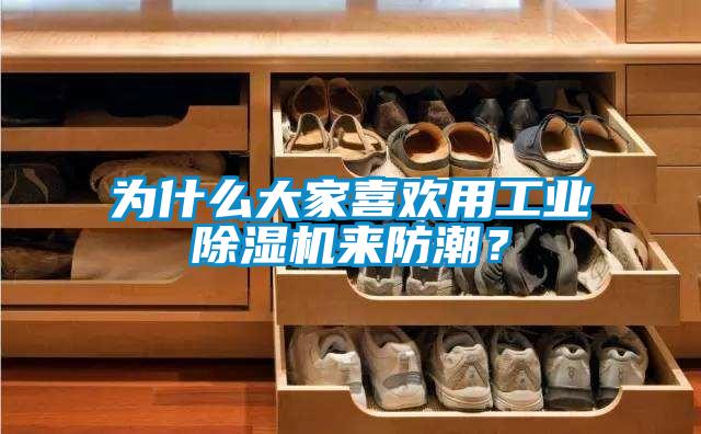 為什么大家喜歡用工業(yè)除濕機(jī)來(lái)防潮？