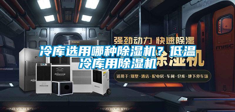 冷庫選用哪種除濕機?低溫冷庫用除濕機