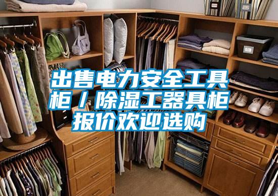 出售電力安全工具柜/除濕工器具柜報(bào)價(jià)歡迎選購(gòu)