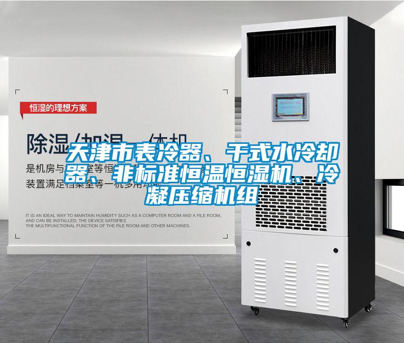 天津市表冷器、干式水冷卻器、非標準恒溫恒濕機、冷凝壓縮機組