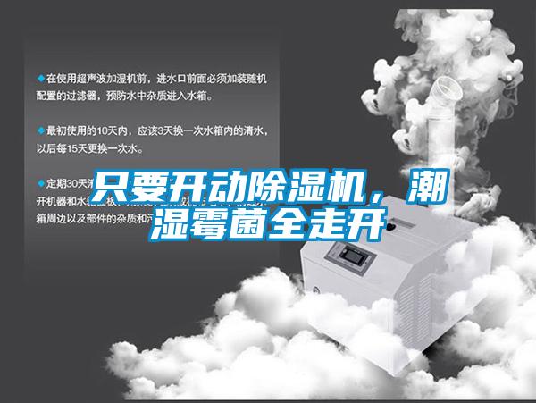 只要開動除濕機，潮濕霉菌全走開