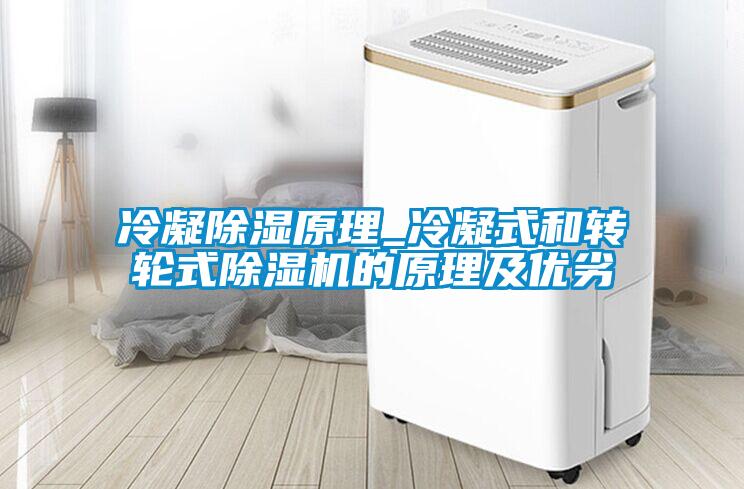 冷凝除濕原理_冷凝式和轉(zhuǎn)輪式除濕機(jī)的原理及優(yōu)劣