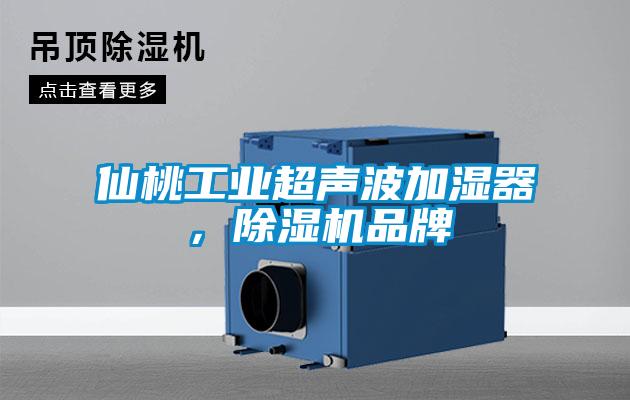 仙桃工業超聲波加濕器，除濕機品牌