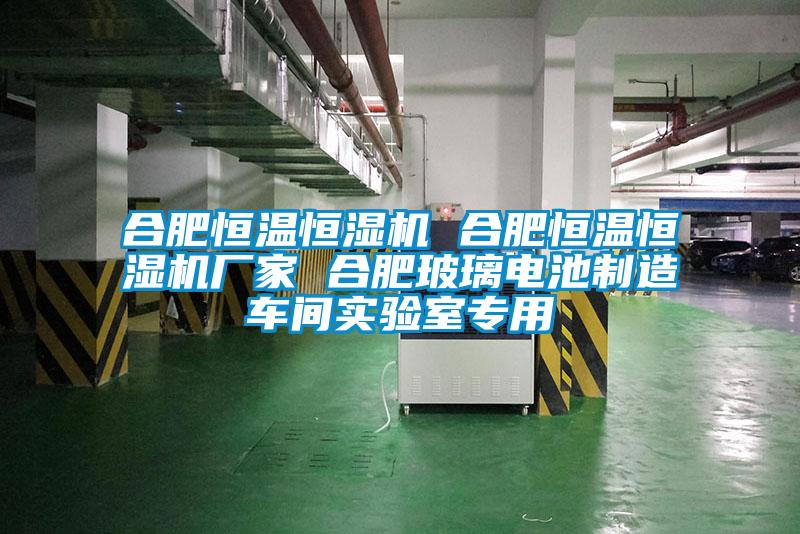 合肥恒溫恒濕機 合肥恒溫恒濕機廠家 合肥玻璃電池制造車間實驗室專用