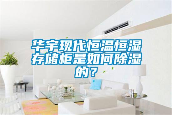 華宇現代恒溫恒濕存儲柜是如何除濕的？