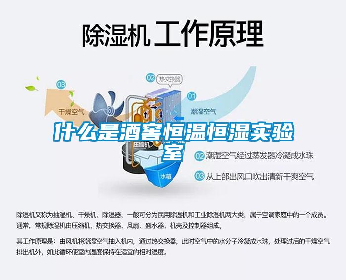 什么是酒窖恒溫恒濕實(shí)驗(yàn)室