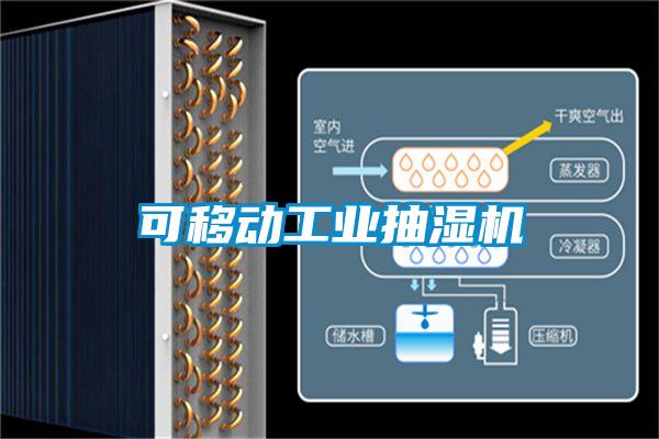 可移動工業(yè)抽濕機