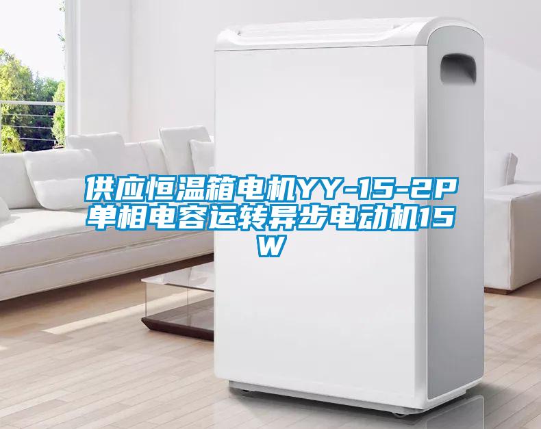 供應恒溫箱電機YY-15-2P單相電容運轉異步電動機15W