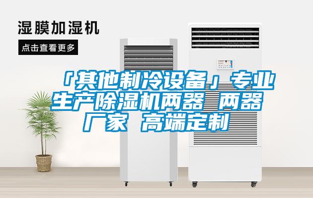 「其他制冷設(shè)備」專(zhuān)業(yè)生產(chǎn)除濕機(jī)兩器 兩器廠家 高端定制