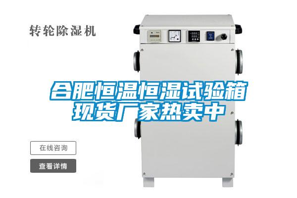 合肥恒溫恒濕試驗箱現(xiàn)貨廠家熱賣中