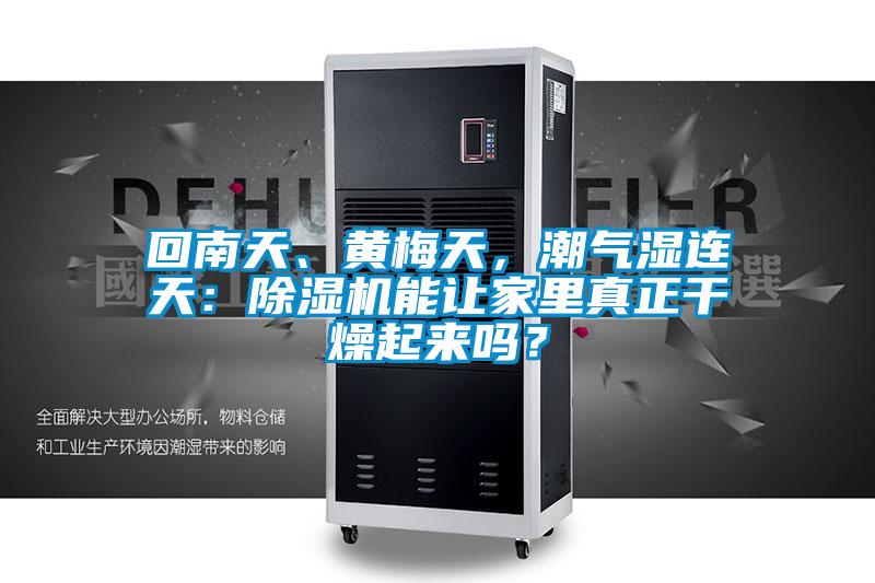 回南天、黃梅天，潮氣濕連天：除濕機能讓家里真正干燥起來嗎？
