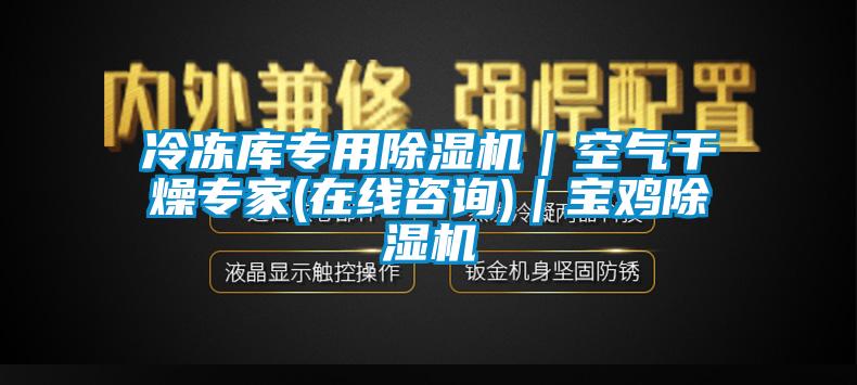 冷凍庫(kù)專(zhuān)用除濕機(jī)｜空氣干燥專(zhuān)家(在線咨詢)｜寶雞除濕機(jī)