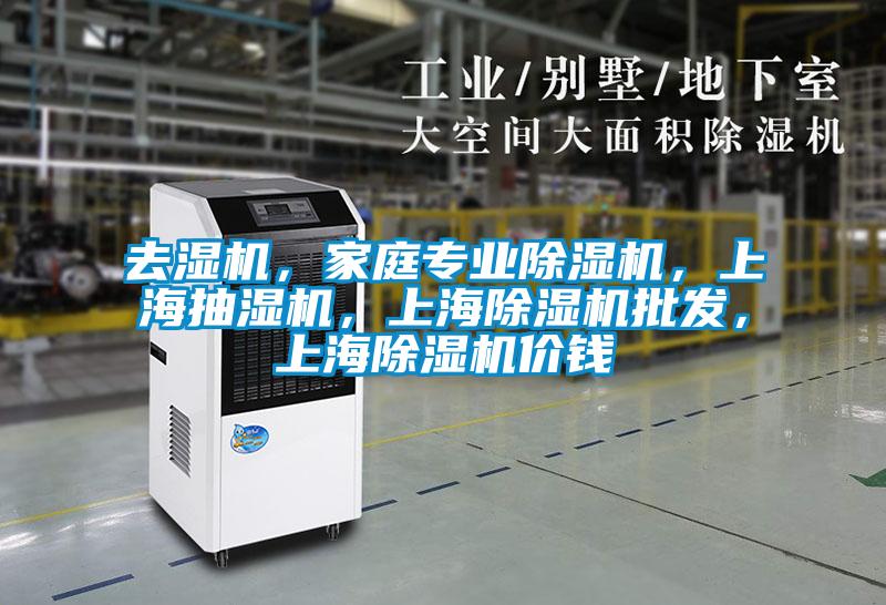 去濕機，家庭專業除濕機，上海抽濕機，上海除濕機批發，上海除濕機價錢
