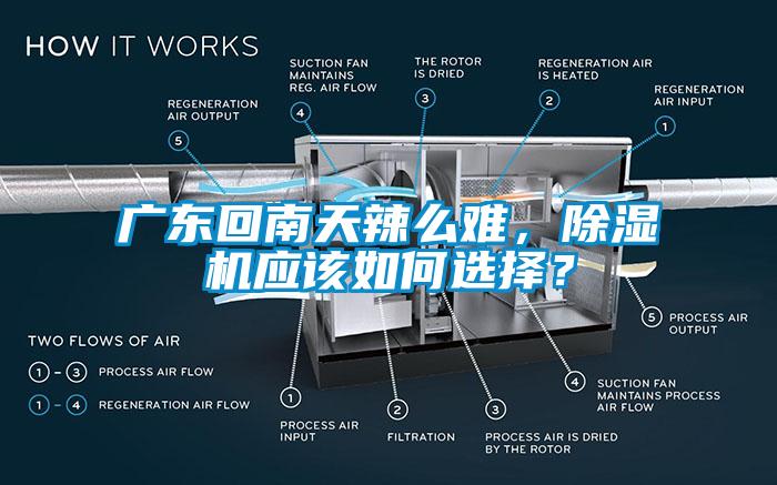 廣東回南天辣么難，除濕機(jī)應(yīng)該如何選擇？