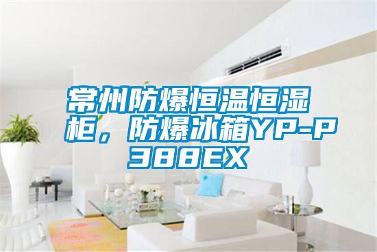 常州防爆恒溫恒濕柜，防爆冰箱YP-P388EX