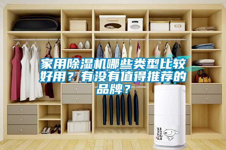 家用除濕機哪些類型比較好用？有沒有值得推薦的品牌？