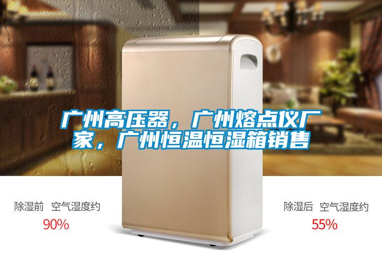 廣州高壓器，廣州熔點儀廠家，廣州恒溫恒濕箱銷售