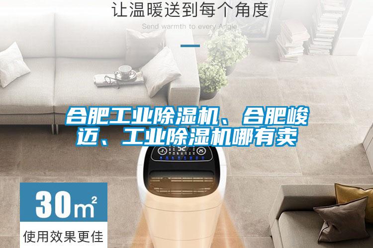 合肥工業(yè)除濕機、合肥峻邁、工業(yè)除濕機哪有賣