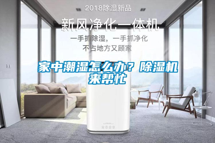 家中潮濕怎么辦？除濕機(jī)來幫忙