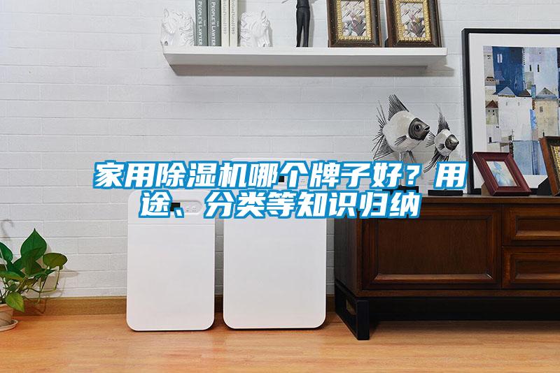 家用除濕機哪個牌子好？用途、分類等知識歸納