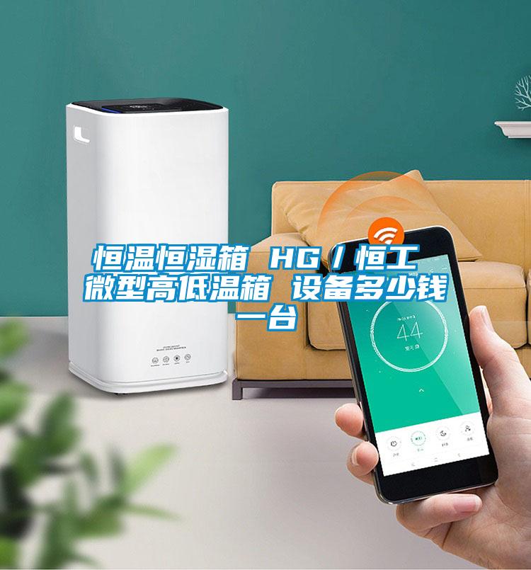 恒溫恒濕箱 HG/恒工 微型高低溫箱 設(shè)備多少錢一臺(tái)
