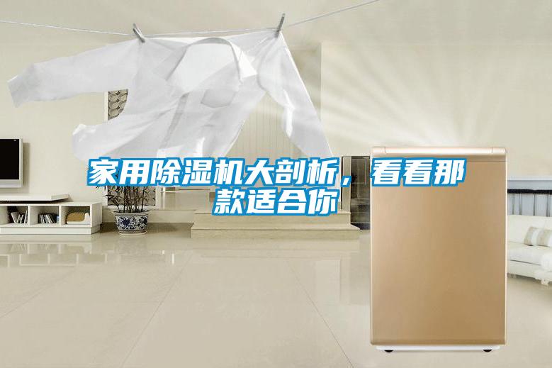 家用除濕機(jī)大剖析，看看那款適合你