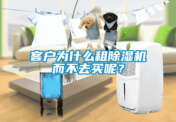 客戶為什么租除濕機而不去買呢？