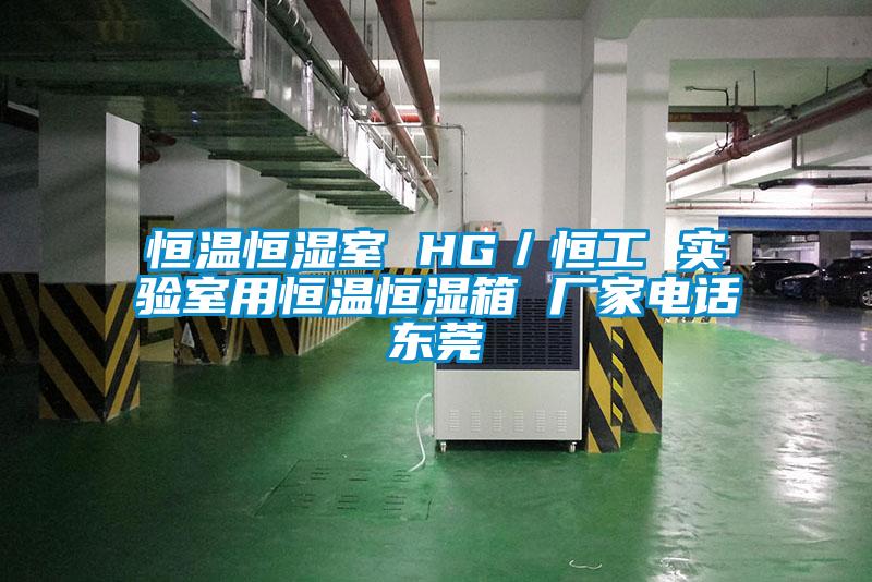 恒溫恒濕室 HG／恒工 實驗室用恒溫恒濕箱 廠家電話東莞