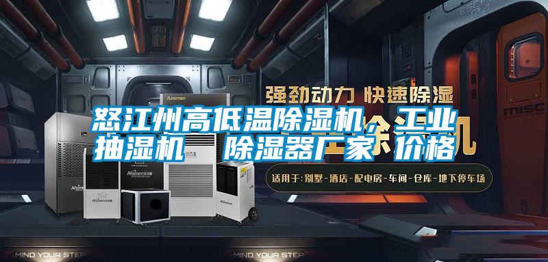 怒江州高低溫除濕機(jī)，工業(yè)抽濕機(jī)  除濕器廠家 價(jià)格