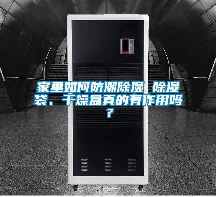 家里如何防潮除濕 除濕袋、干燥盒真的有作用嗎？