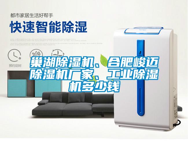巢湖除濕機(jī)、合肥峻邁除濕機(jī)廠家、工業(yè)除濕機(jī)多少錢