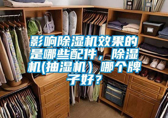 影響除濕機效果的是哪些配件，除濕機(抽濕機）哪個牌子好？