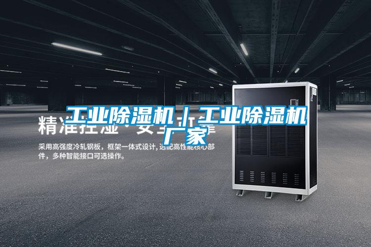 工業(yè)除濕機(jī)|工業(yè)除濕機(jī)廠家