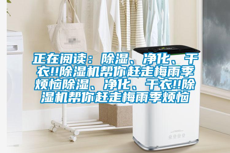 正在閱讀：除濕、凈化、干衣!!除濕機幫你趕走梅雨季煩惱除濕、凈化、干衣!!除濕機幫你趕走梅雨季煩惱