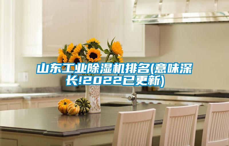 山東工業(yè)除濕機(jī)排名(意味深長!2022已更新)