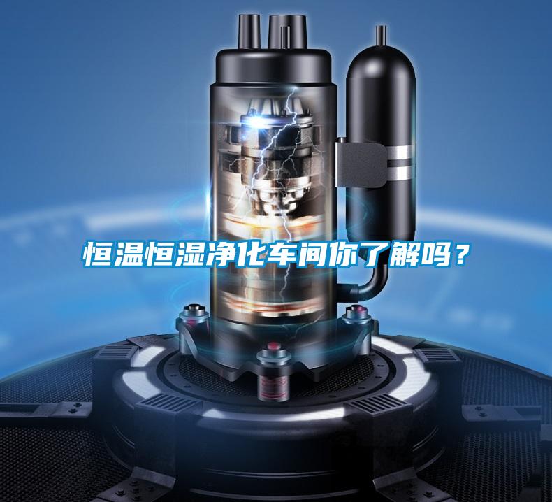 恒溫恒濕凈化車間你了解嗎？