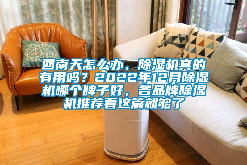 回南天怎么辦，除濕機真的有用嗎？2022年12月除濕機哪個牌子好，各品牌除濕機推薦看這篇就夠了