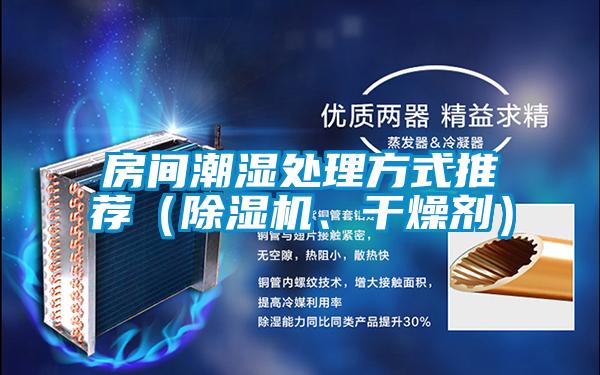 房間潮濕處理方式推薦（除濕機、干燥劑）