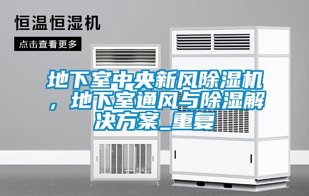 地下室中央新風除濕機，地下室通風與除濕解決方案_重復