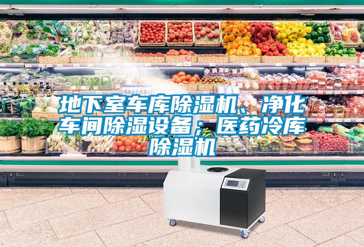 地下室車庫除濕機、凈化車間除濕設備；醫藥冷庫除濕機