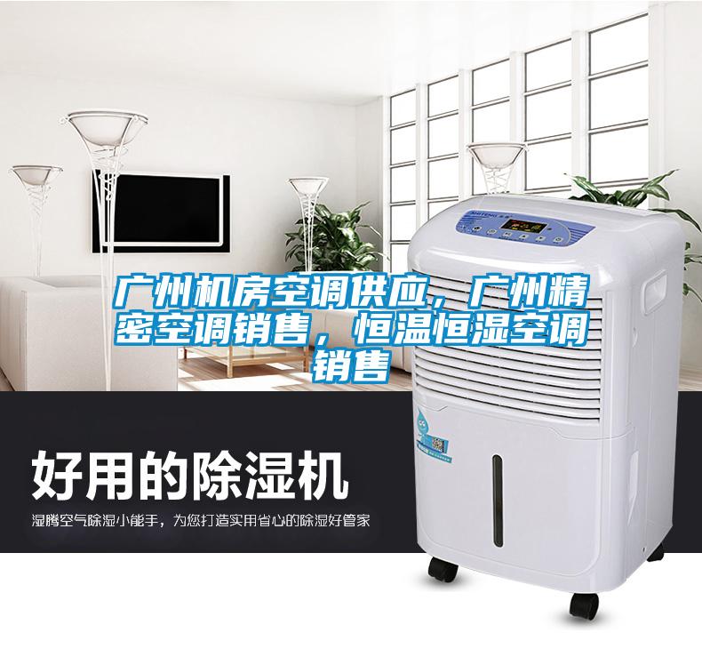 廣州機(jī)房空調(diào)供應(yīng)，廣州精密空調(diào)銷售，恒溫恒濕空調(diào)銷售