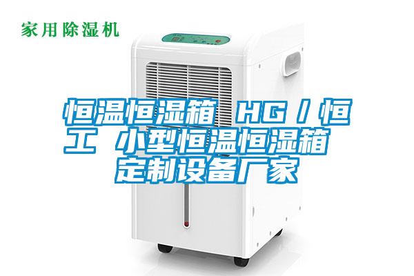 恒溫恒濕箱 HG/恒工 小型恒溫恒濕箱 定制設(shè)備廠家