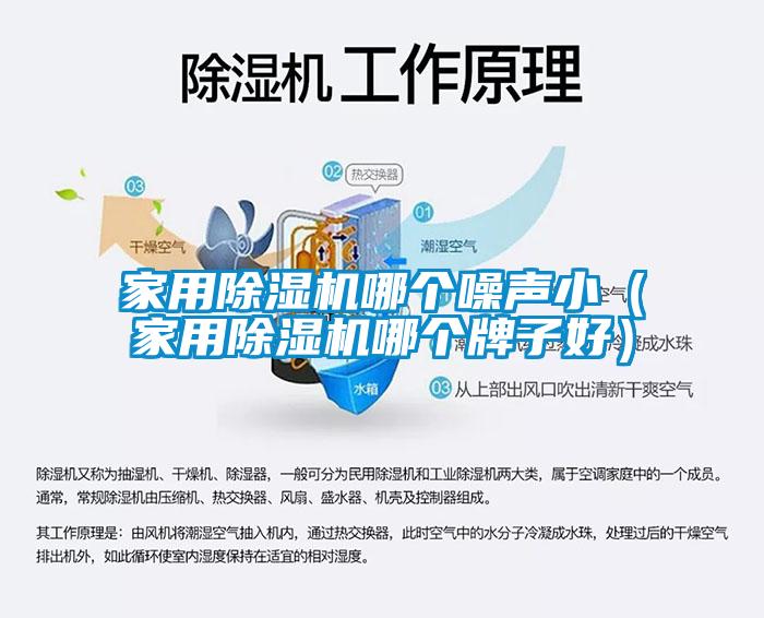 家用除濕機哪個噪聲?。矣贸凉駲C哪個牌子好）