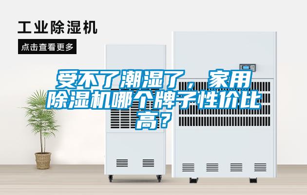 受不了潮濕了，家用除濕機哪個牌子性價比高？